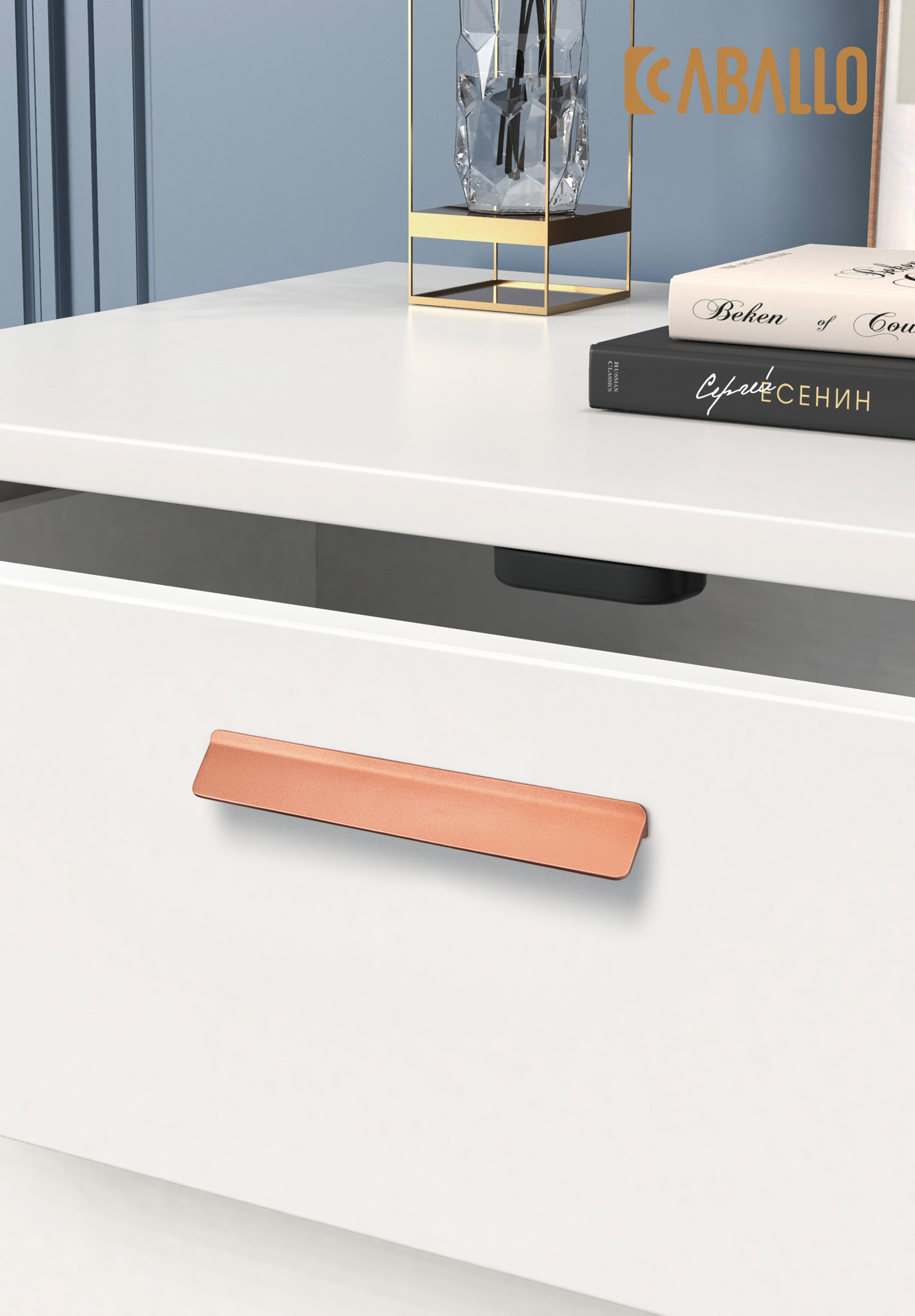 CABALLO  logo 修改_画板 1-01.jpg