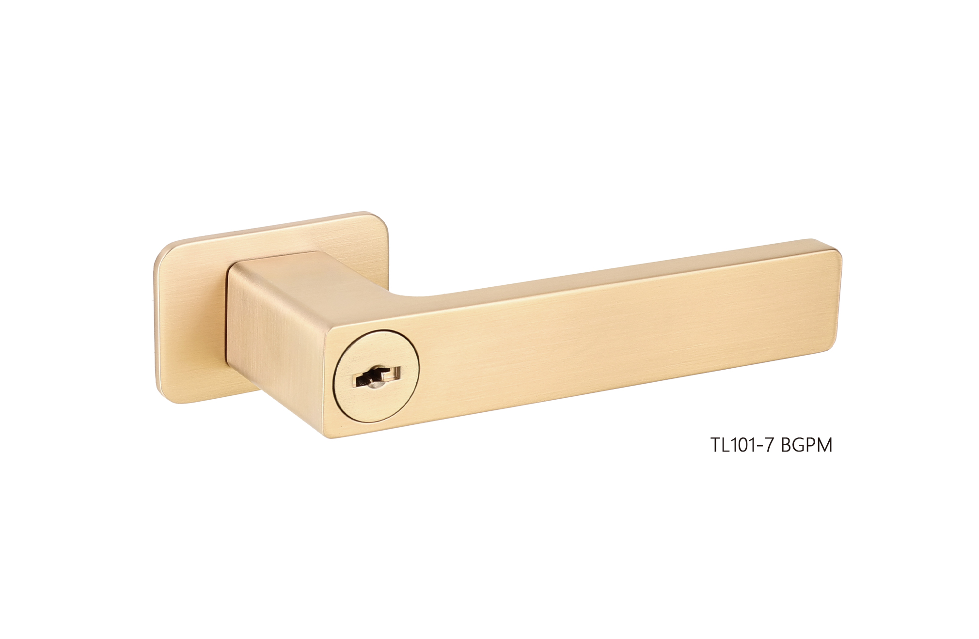 TL101-7 BGPM.jpg