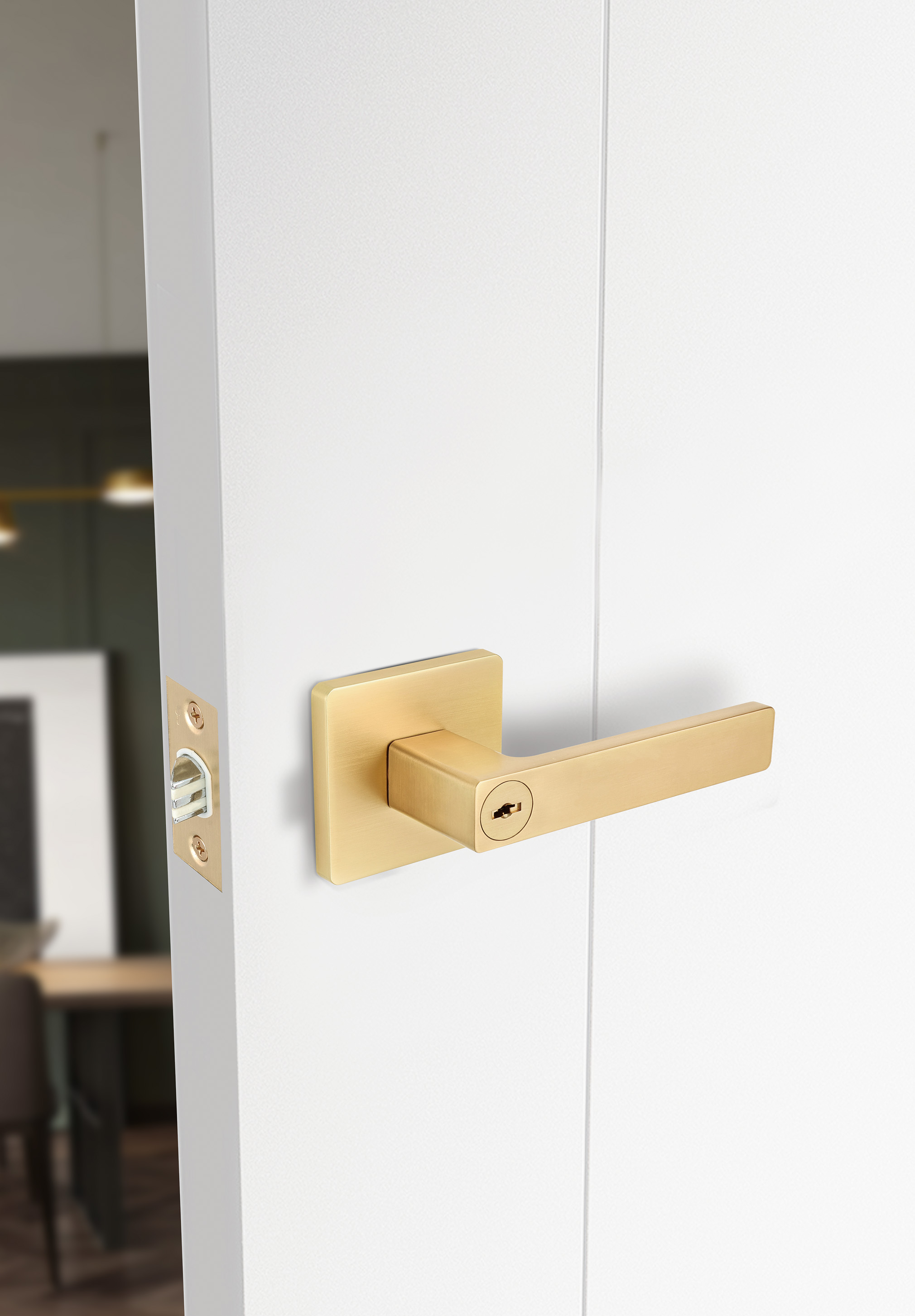 状 大方金 锁舌.jpg